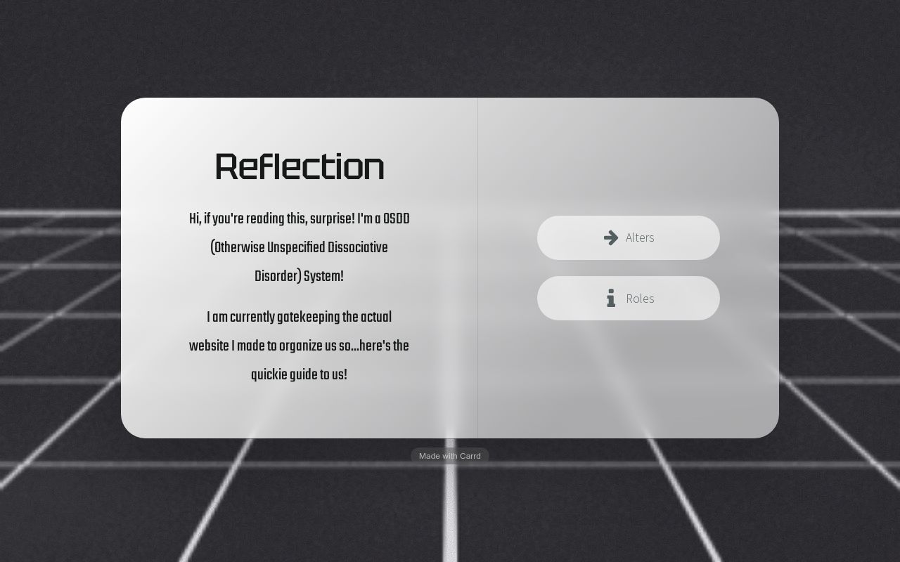 reflection system